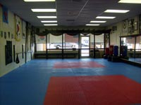 Inside the Academy of Korean Martial Arts